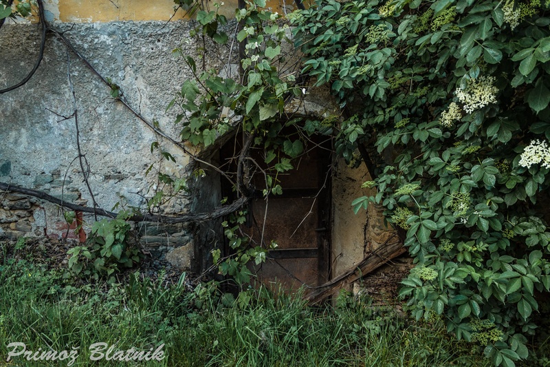 Mystery gate by Primoz Blatnik
