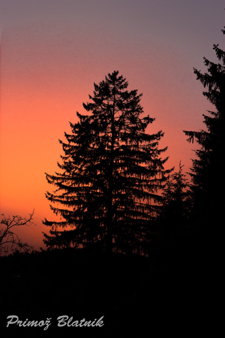alone in the sunset by Primoz Blatnik