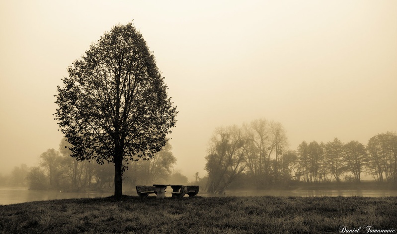 Foggy morning by Daniel Tomanovič