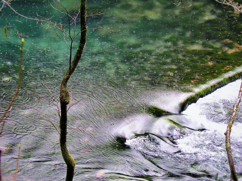 Deževni dan by LubiLampe