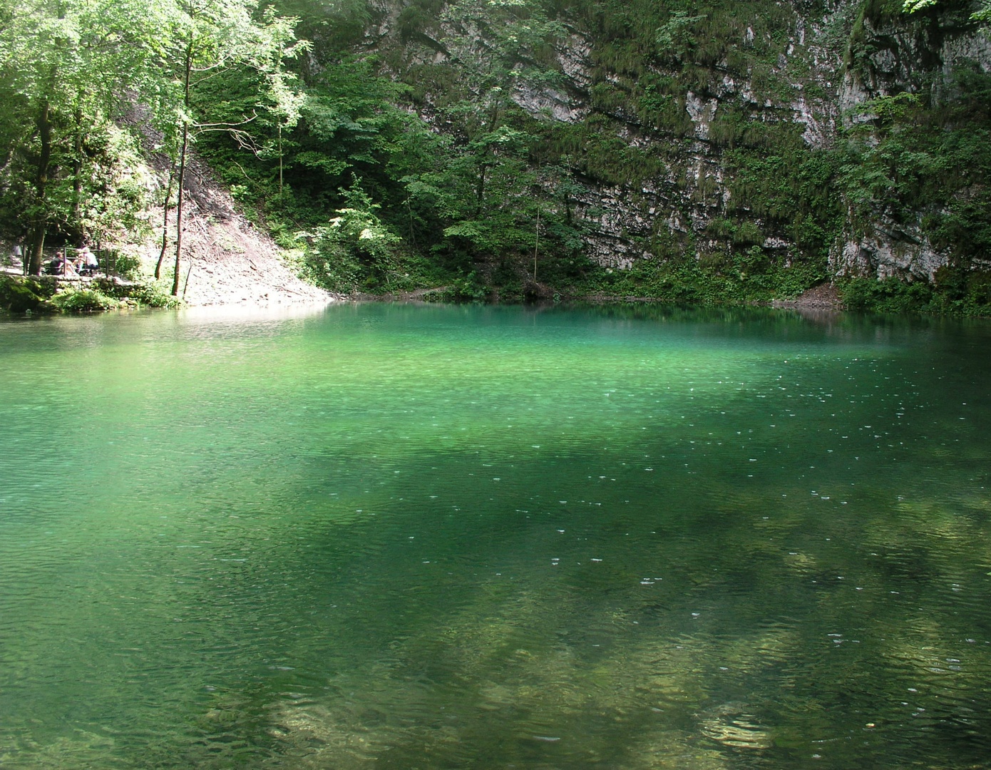 Divje jezero by