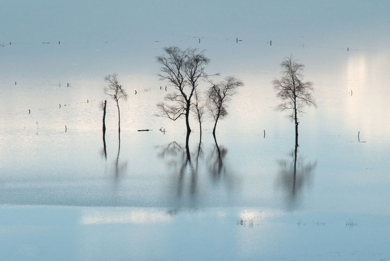 Poplave by Sanja Lužar