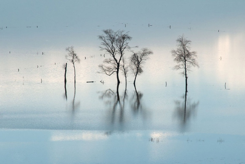 Poplave by Sanja Lužar