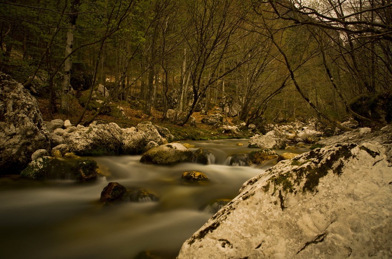 Mistično popoldne by Andrej