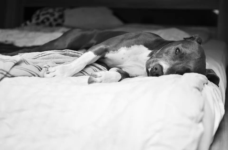 Time to sleep by Davorin Volavšek