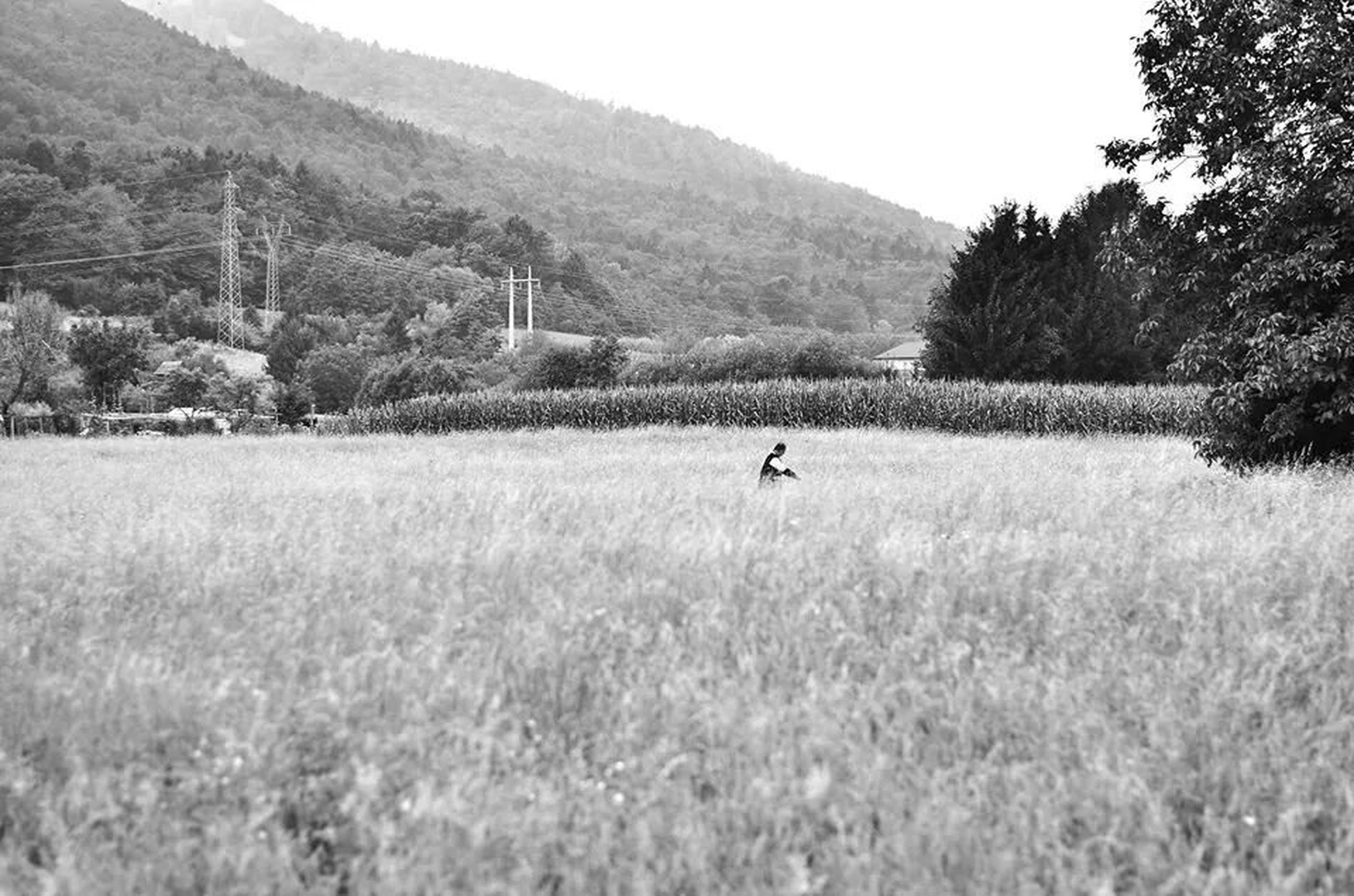 Caralessly acros the field by Davorin Volavšek
