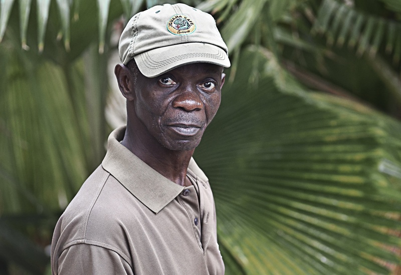 Man from Curacao by Davorin Volavšek