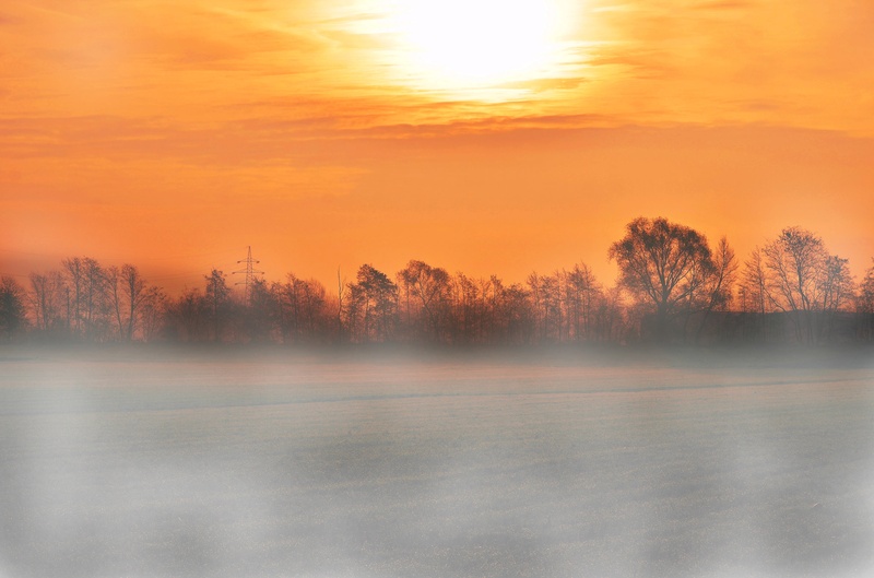 Morning mist by Davorin Volavšek
