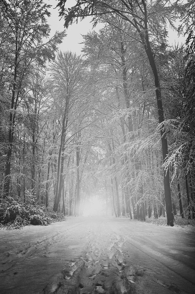 Winter wonderland by Davorin Volavšek