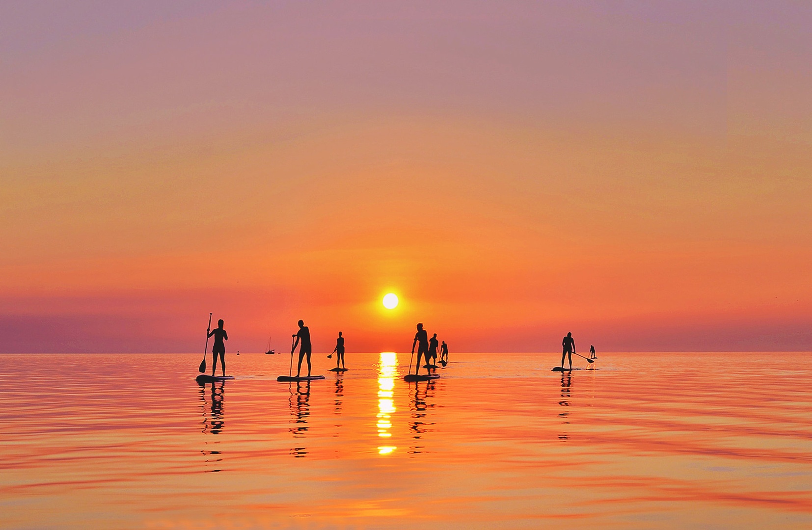 Standup paddle. by Davorin Volavšek