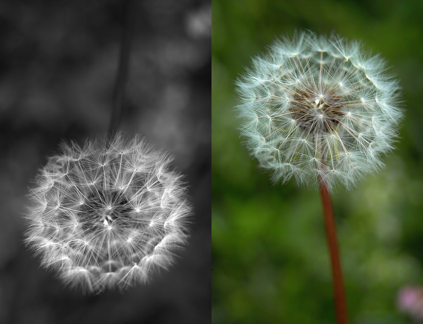 The same but difrent by