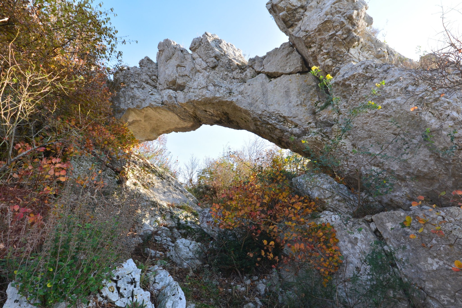 Badin by milan m