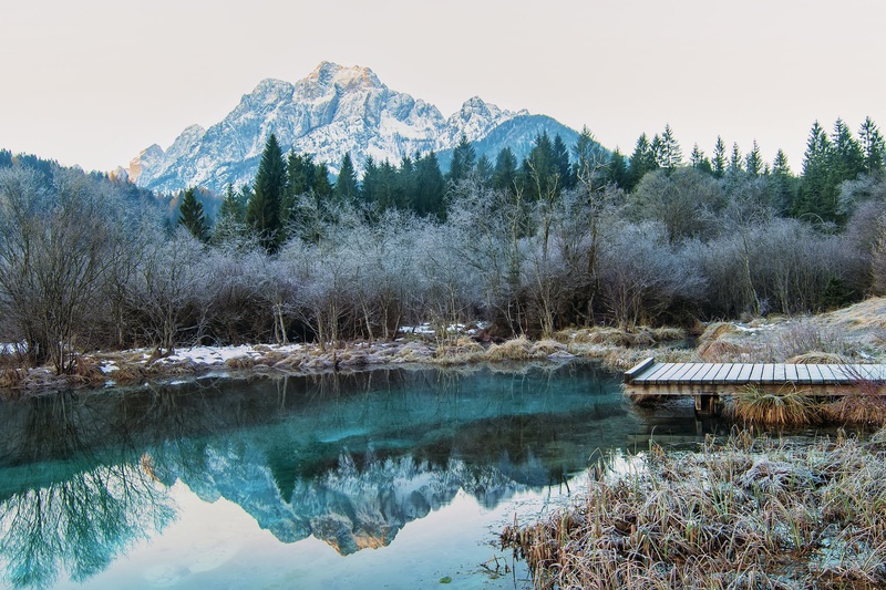 Zelenci by milan m