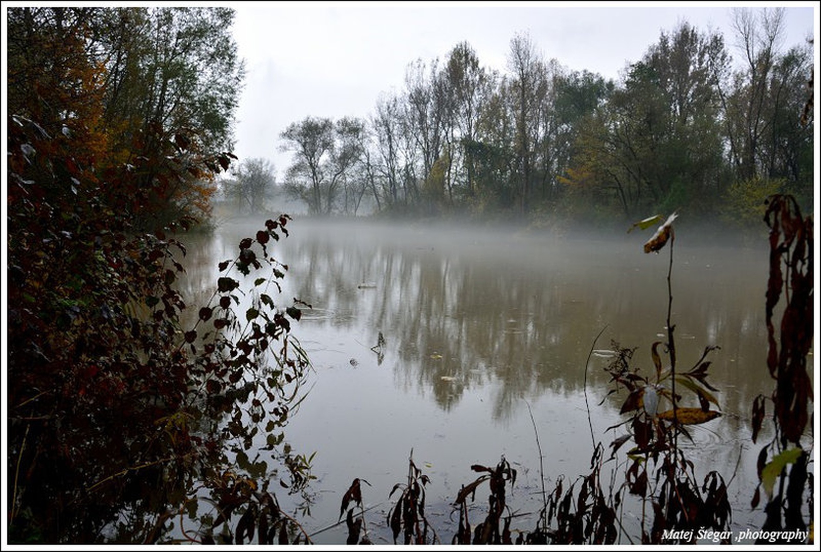 Meglena pokrovka nad naraščajočim ribnikom by Matej Štegar