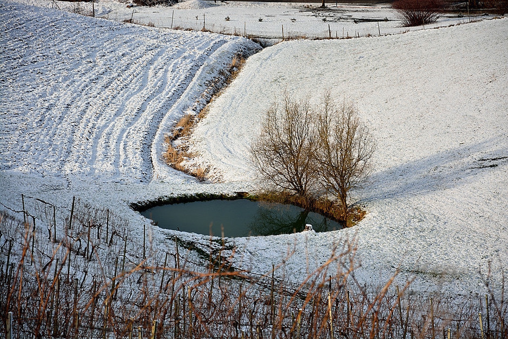 "Vodno oko" by Matej Štegar