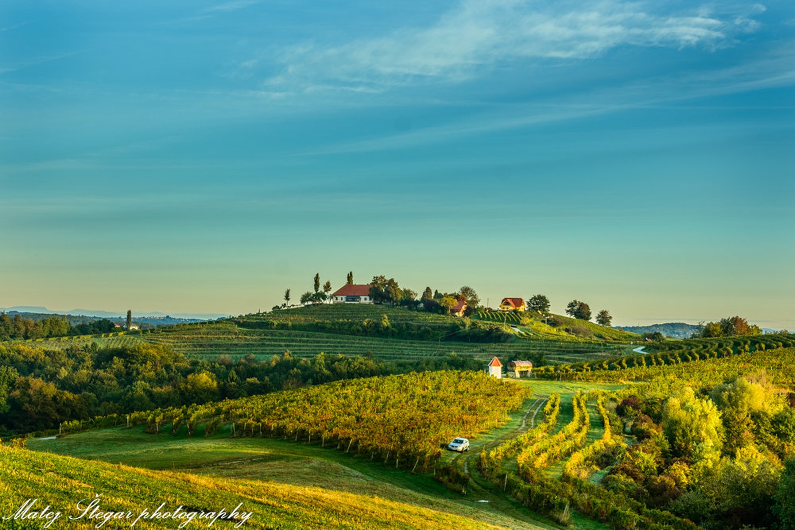 Prelepo jutro v vinogradih by Matej Štegar