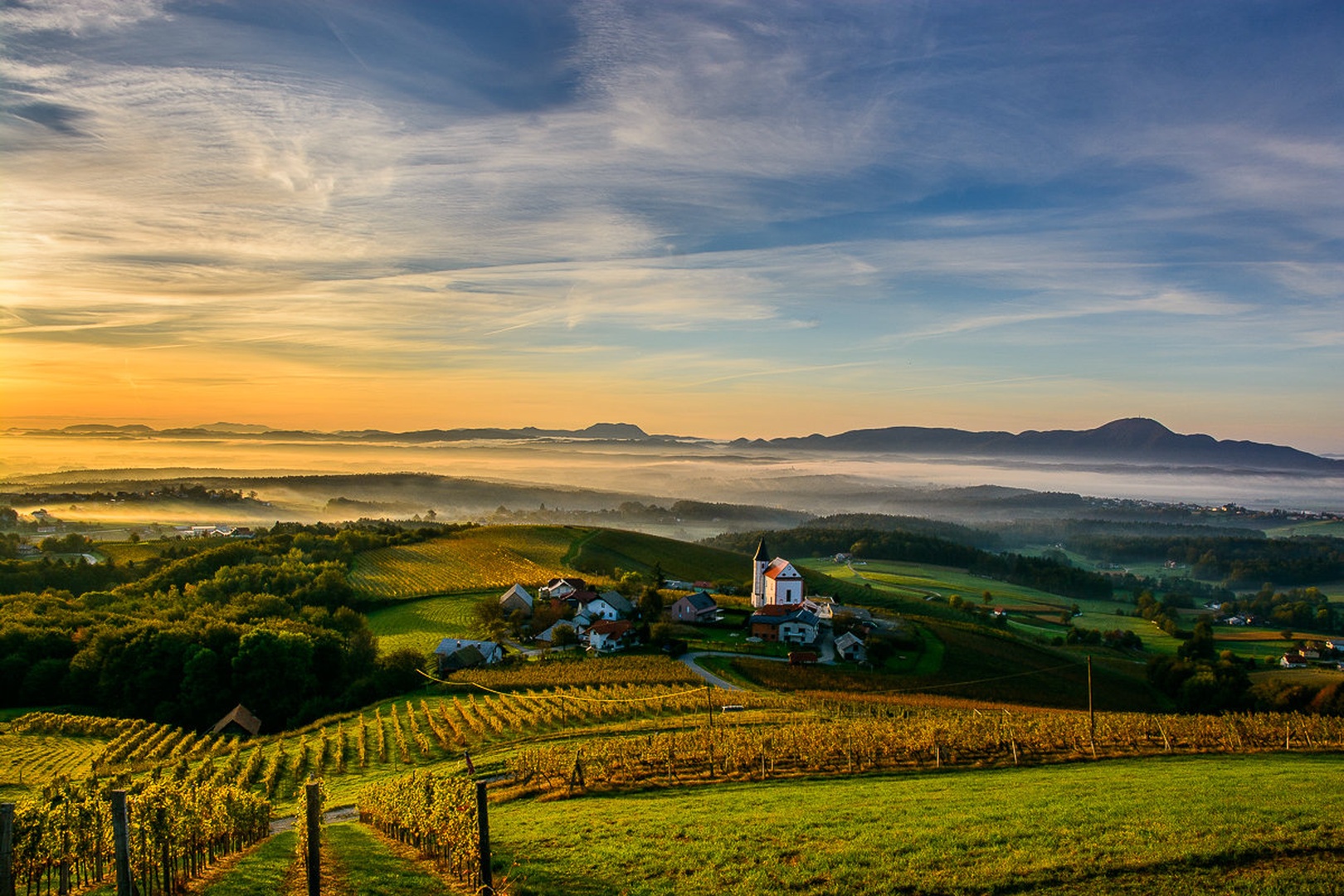 Jutro v vinogradih by Matej Štegar