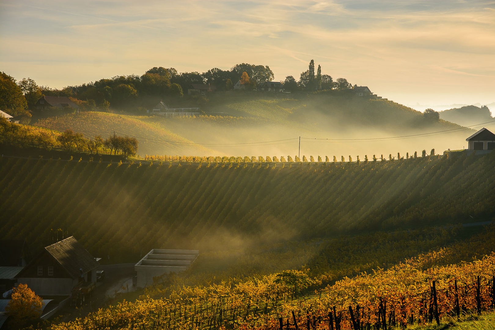 Meglice nad vinogradi by Matej Štegar