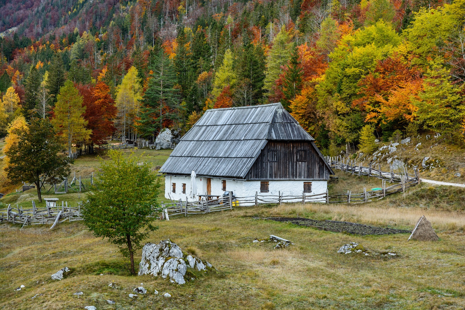 Alpska koča obdana z jesenskimi barvami by Matej Štegar