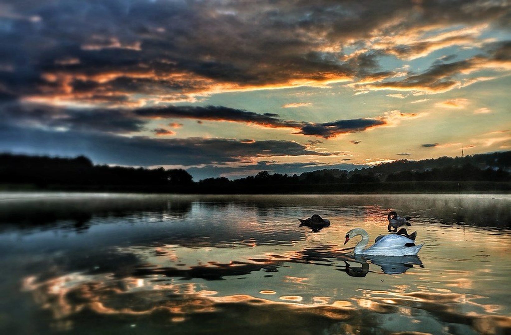 Blue Sunset (Modri sončni zahod) by Sabrina Babič