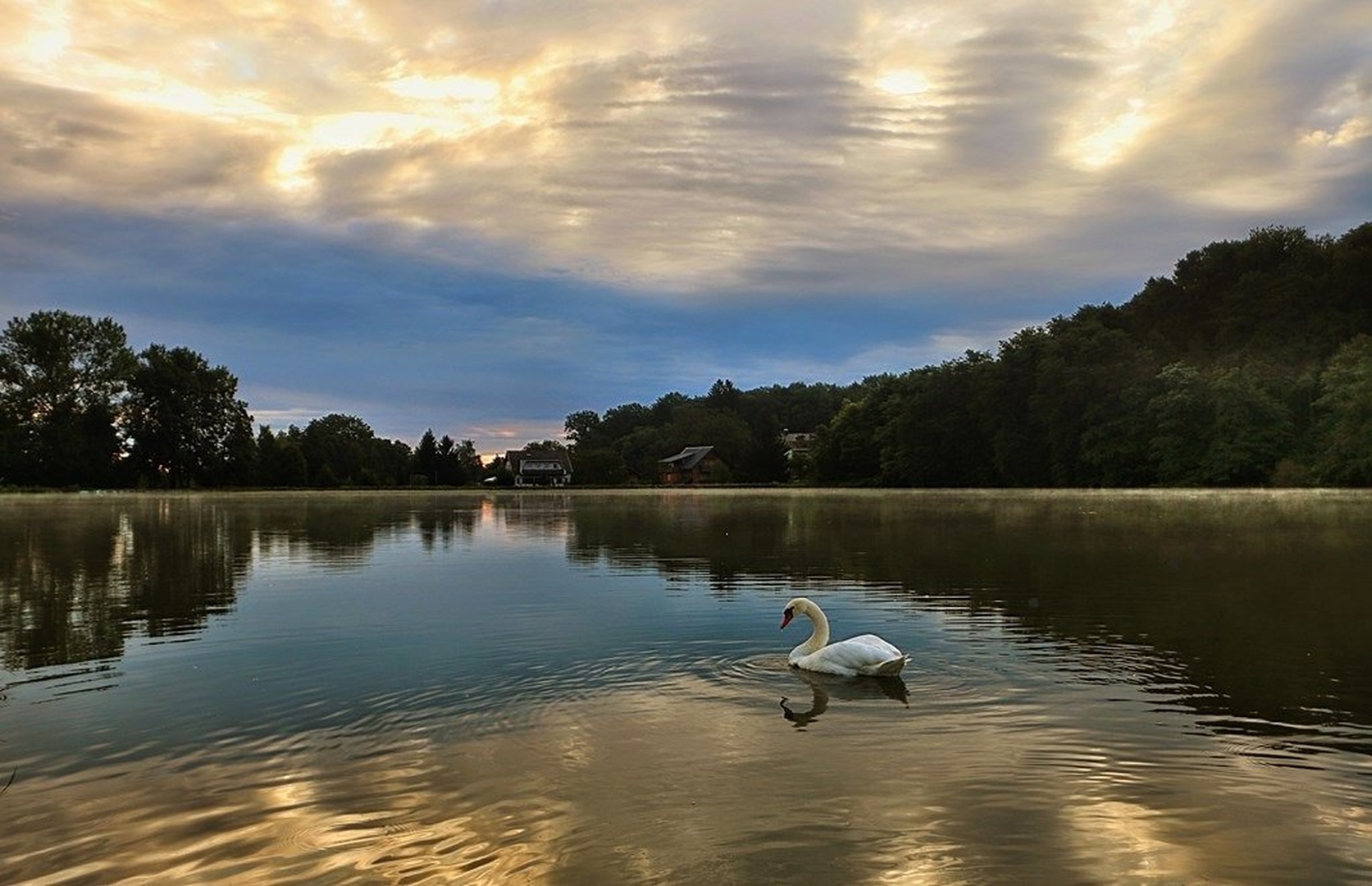 Special Sunrise by Sabrina Babič