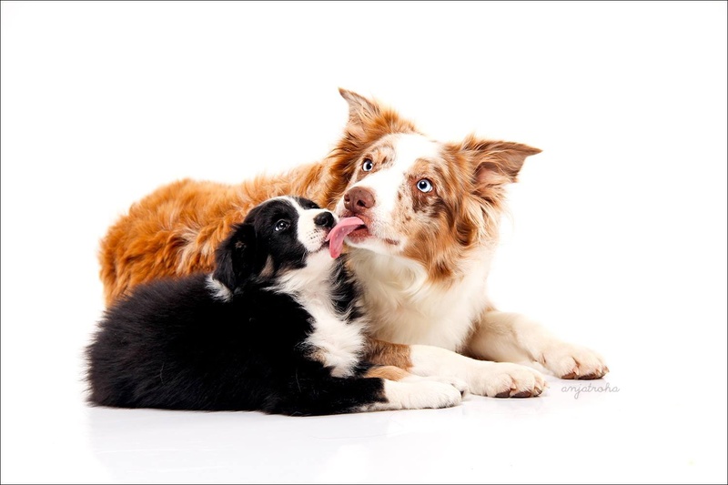 Mother love by Anja Troha