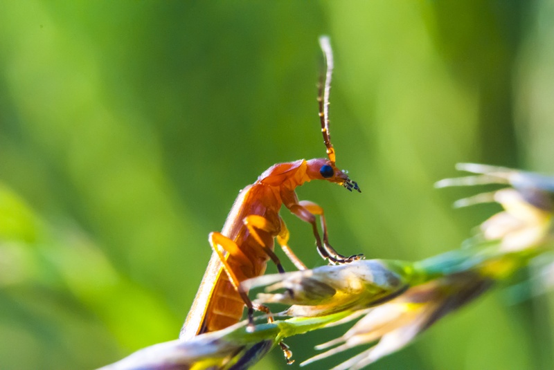 Waiting by Borut Pivec