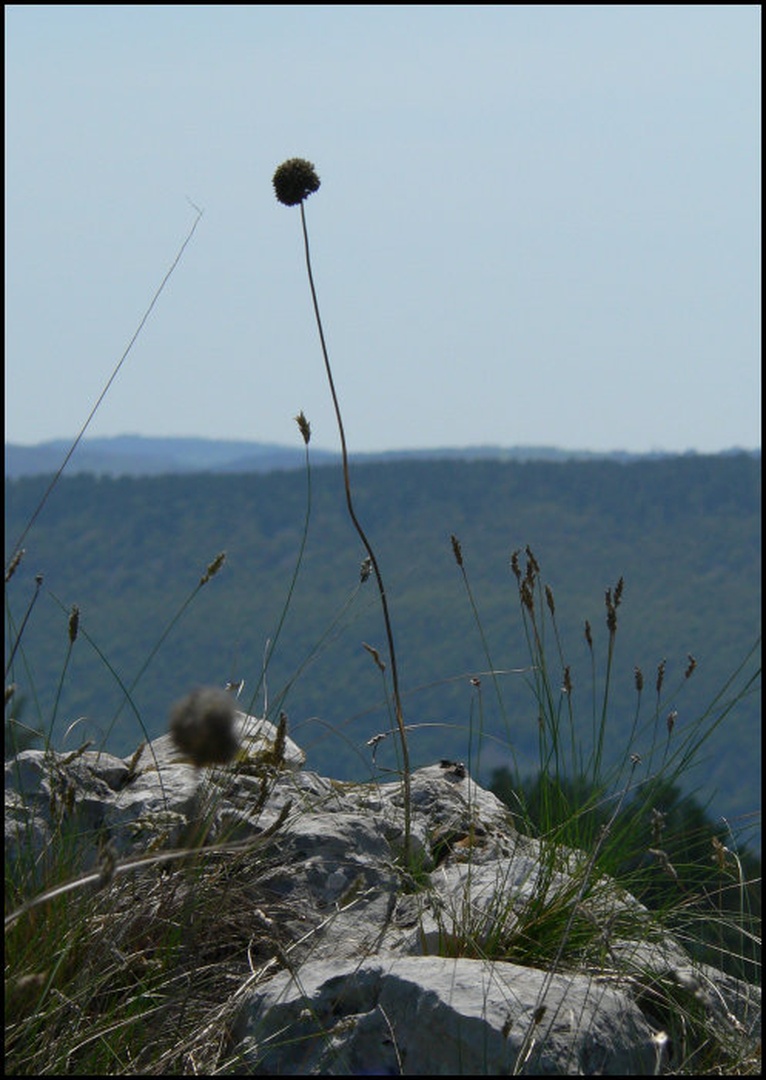 Kraška by
