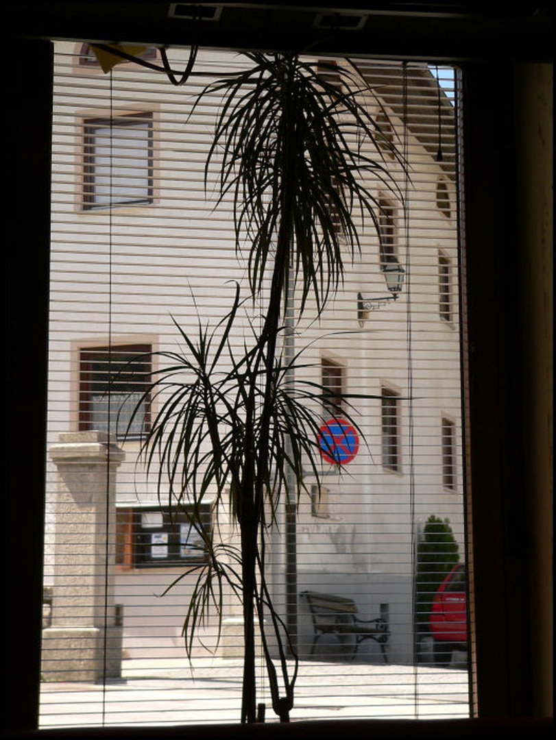 Ne parkiraj! Okno z razgledom. by