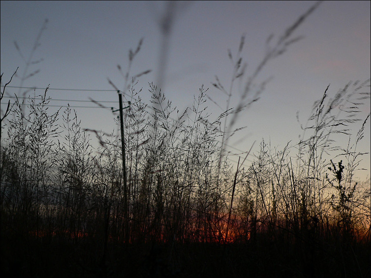 Trave Khantimansiska by