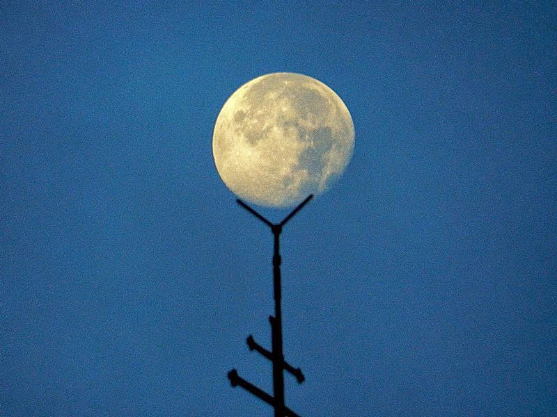 LUNA NA ZVONIKU by Paulina Pristovšek