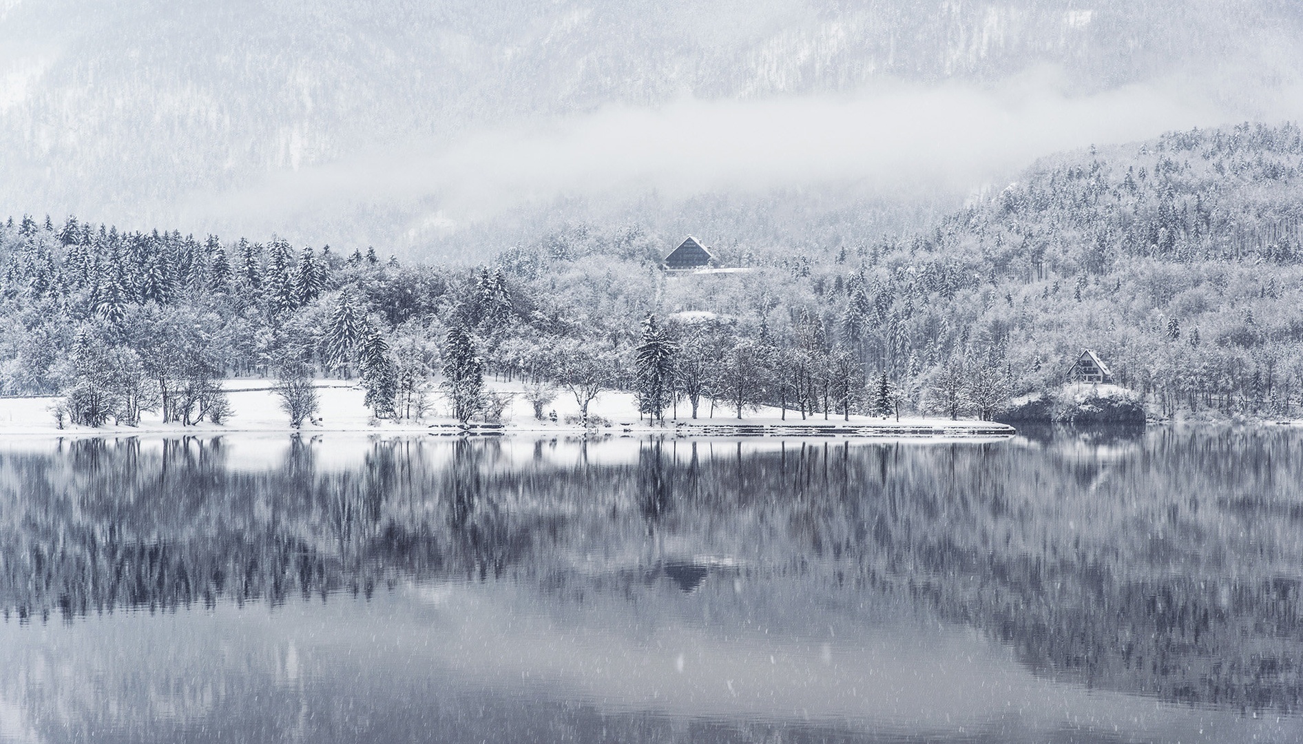 Zima v Bohinju by A