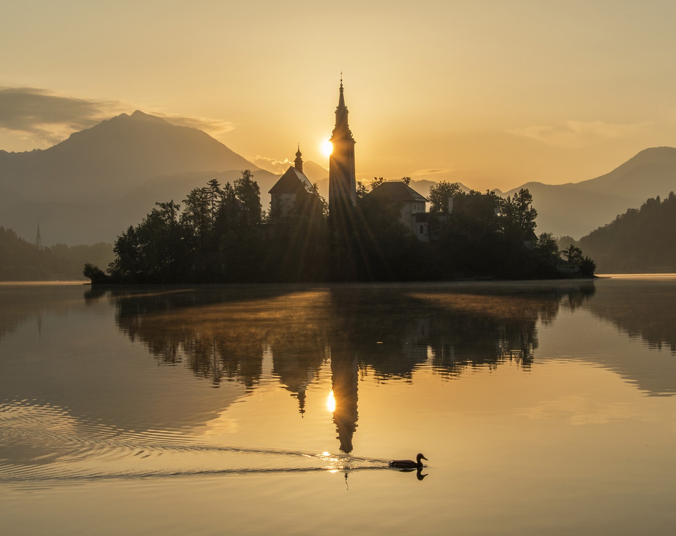 Dobro jutro :) by A