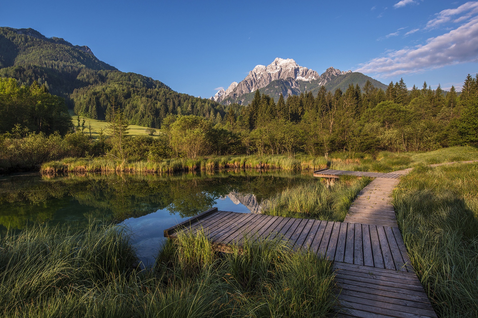 Zelenci by A