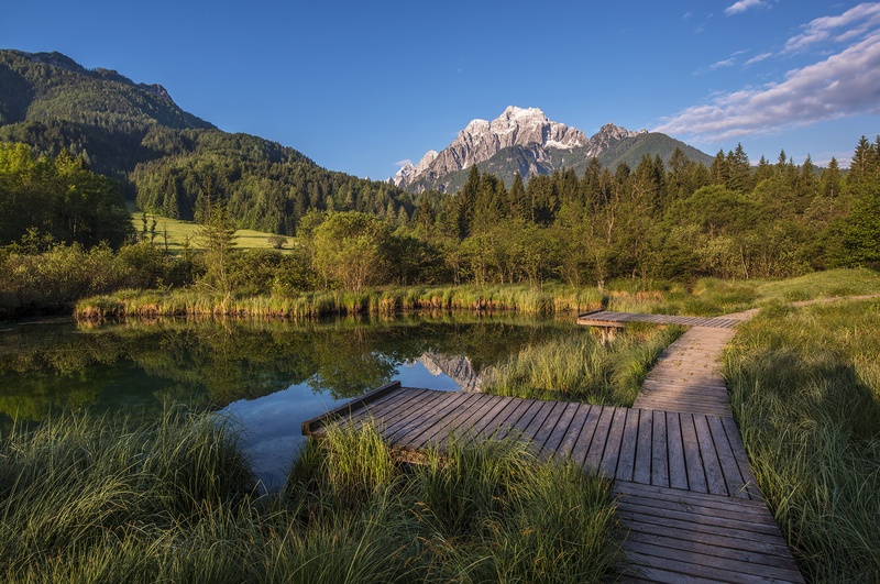 Zelenci by A