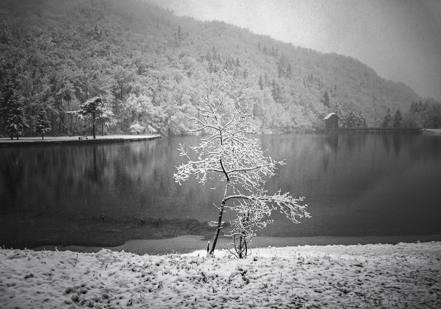 Završnica by A