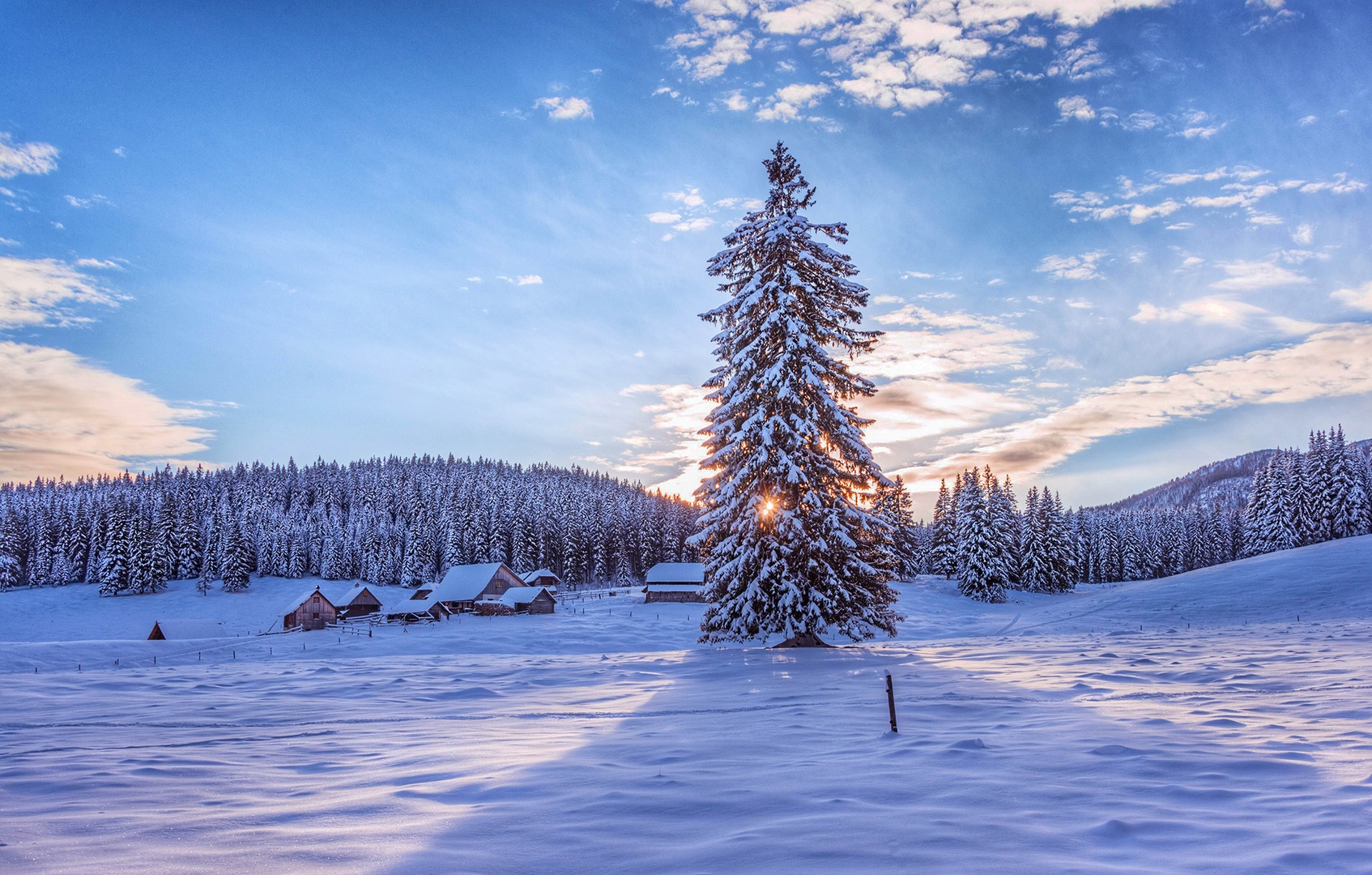 Pokljuka by A