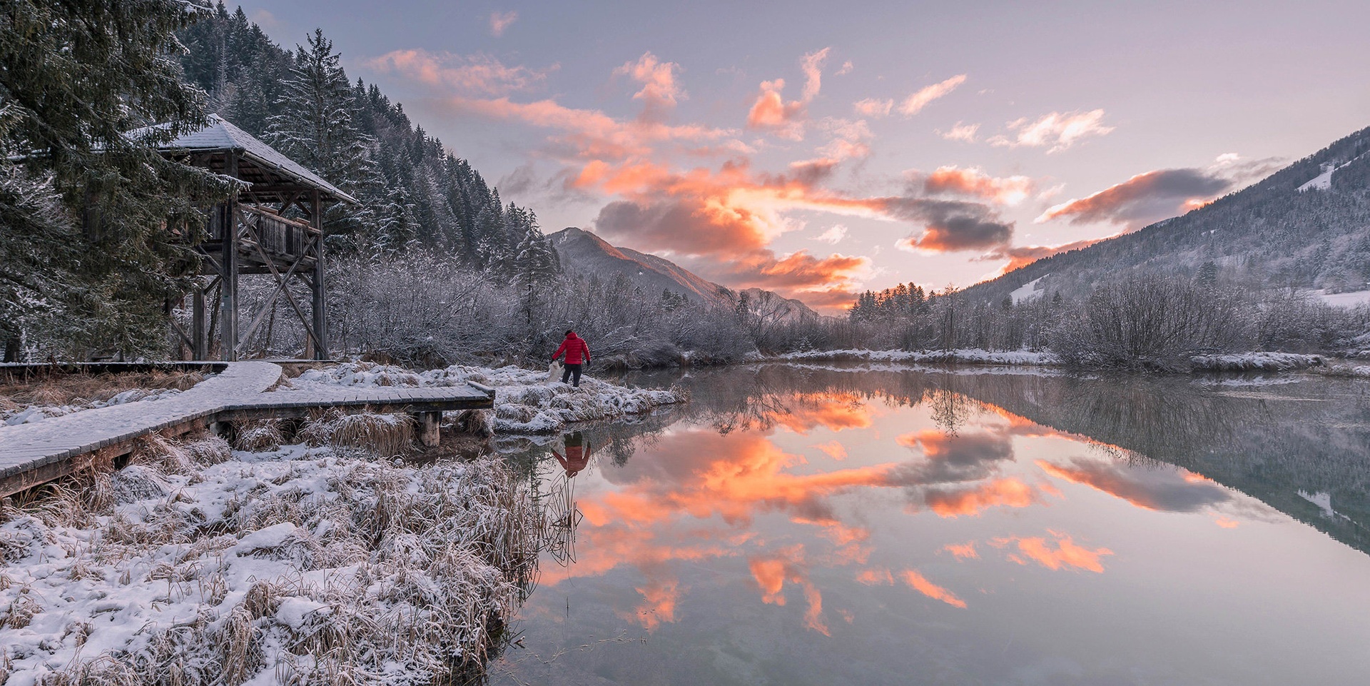 Zelenci by A