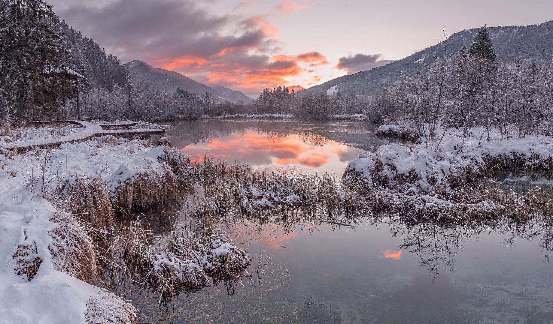 Zelenci by A