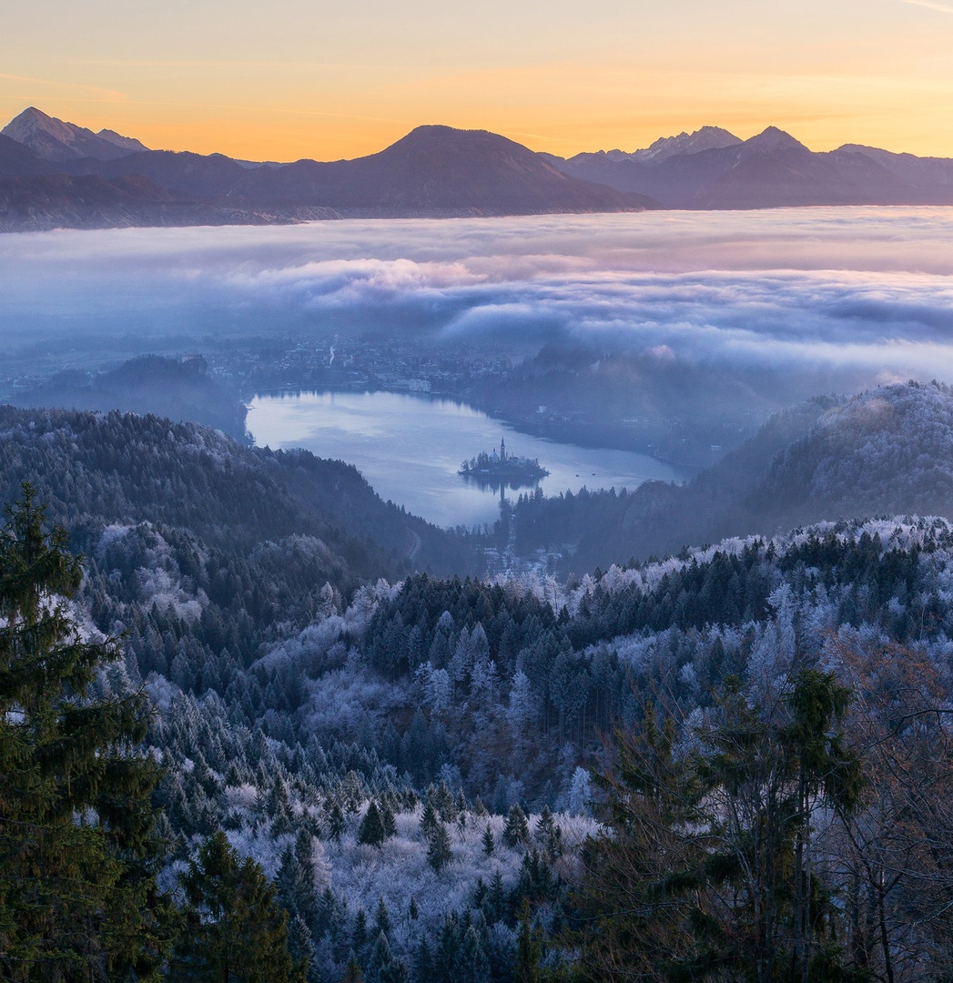 Bled by A