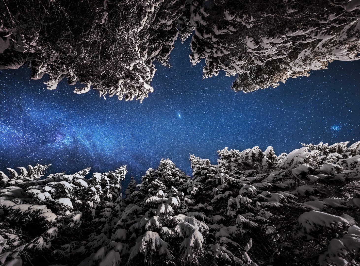 Andromeda by A