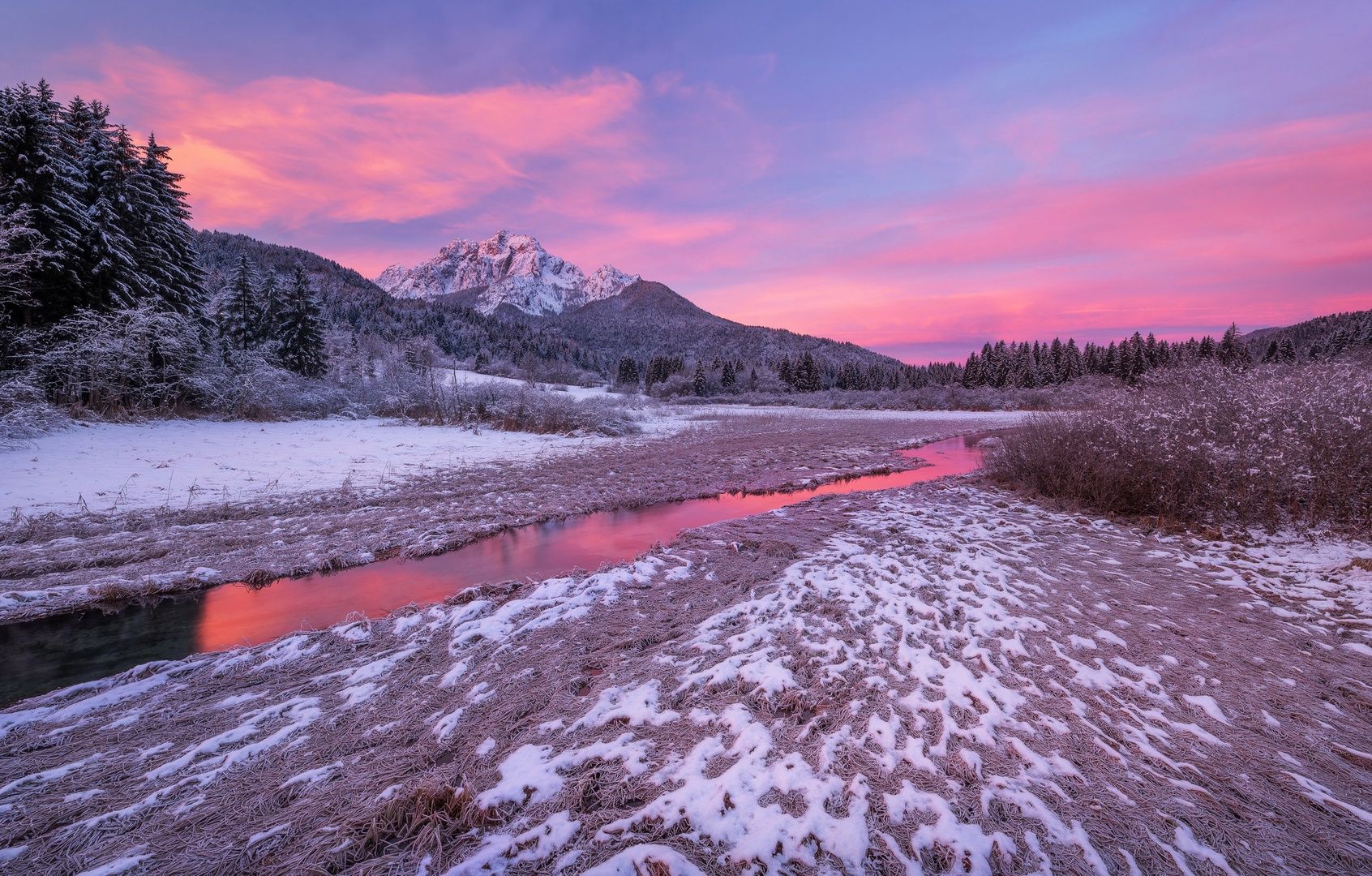 Zelenci by A