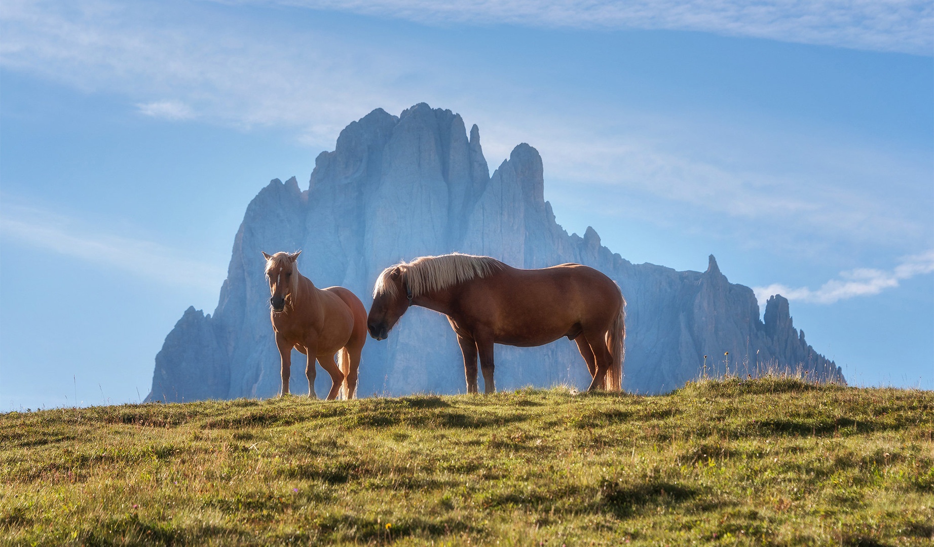 V Dolomitih by A