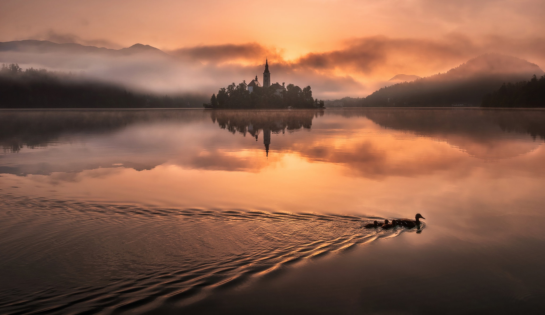 Bled by A