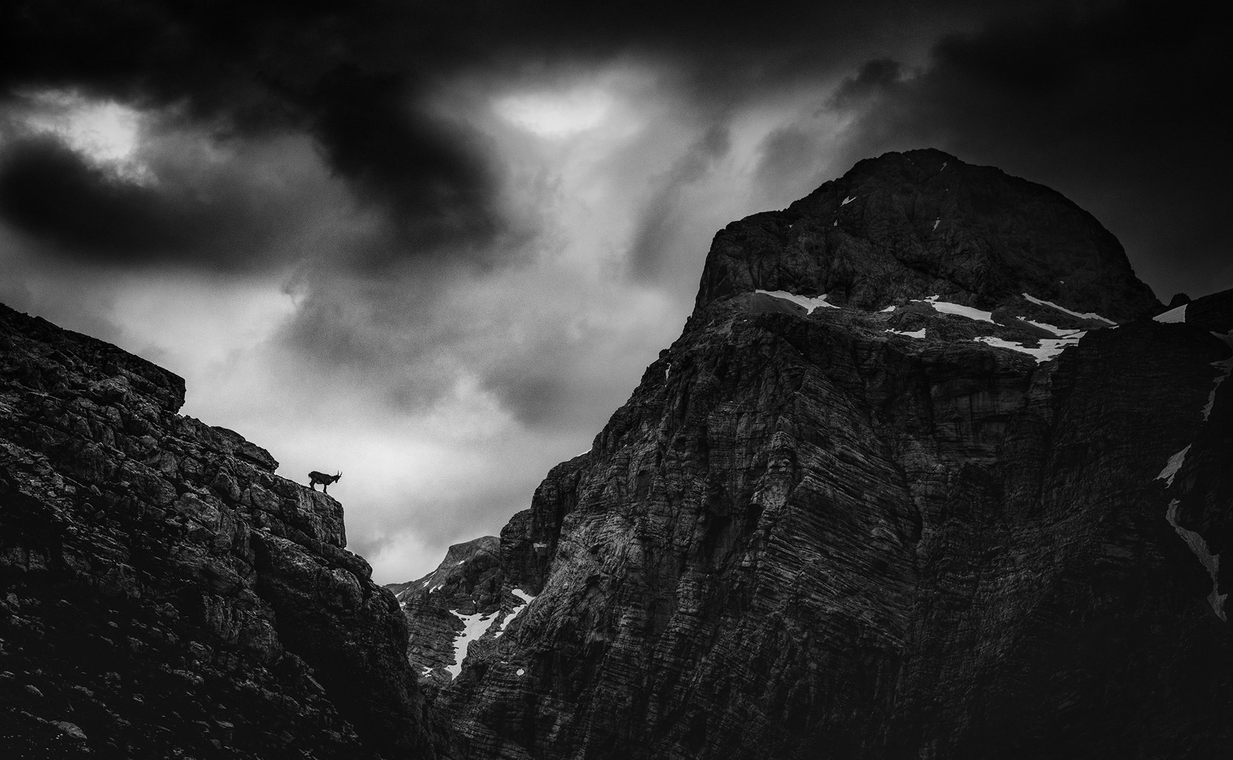 Kozorog in Triglav by A