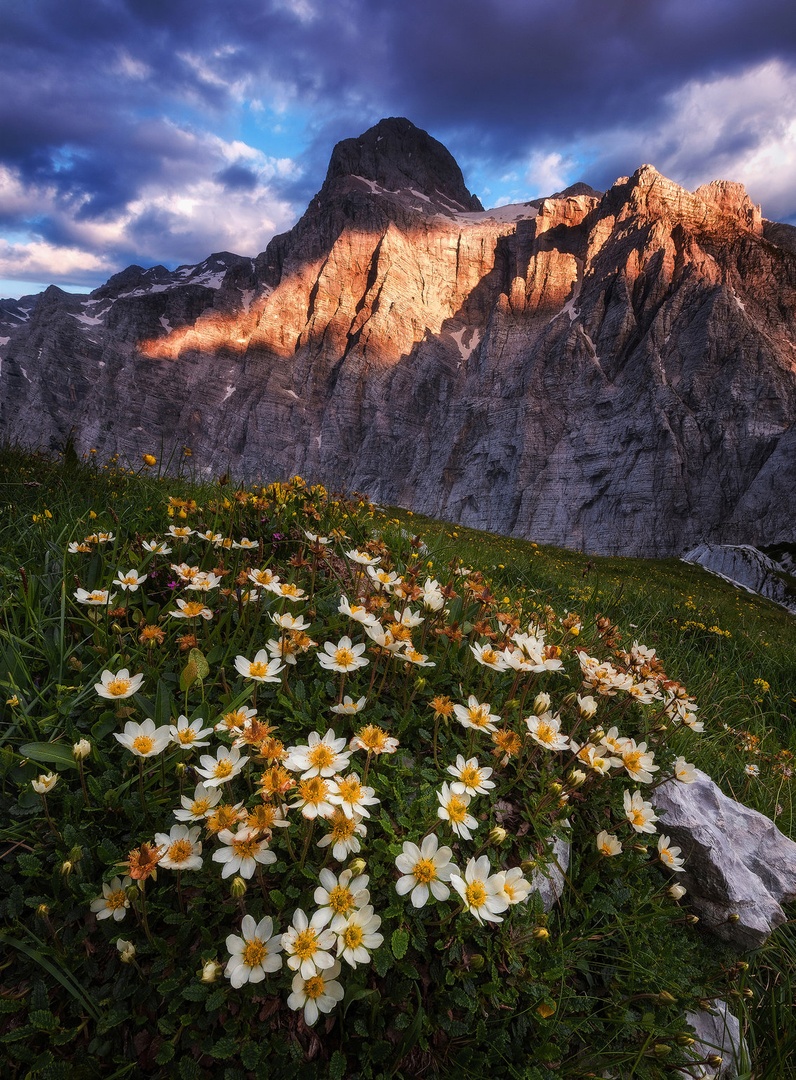 Triglav by A