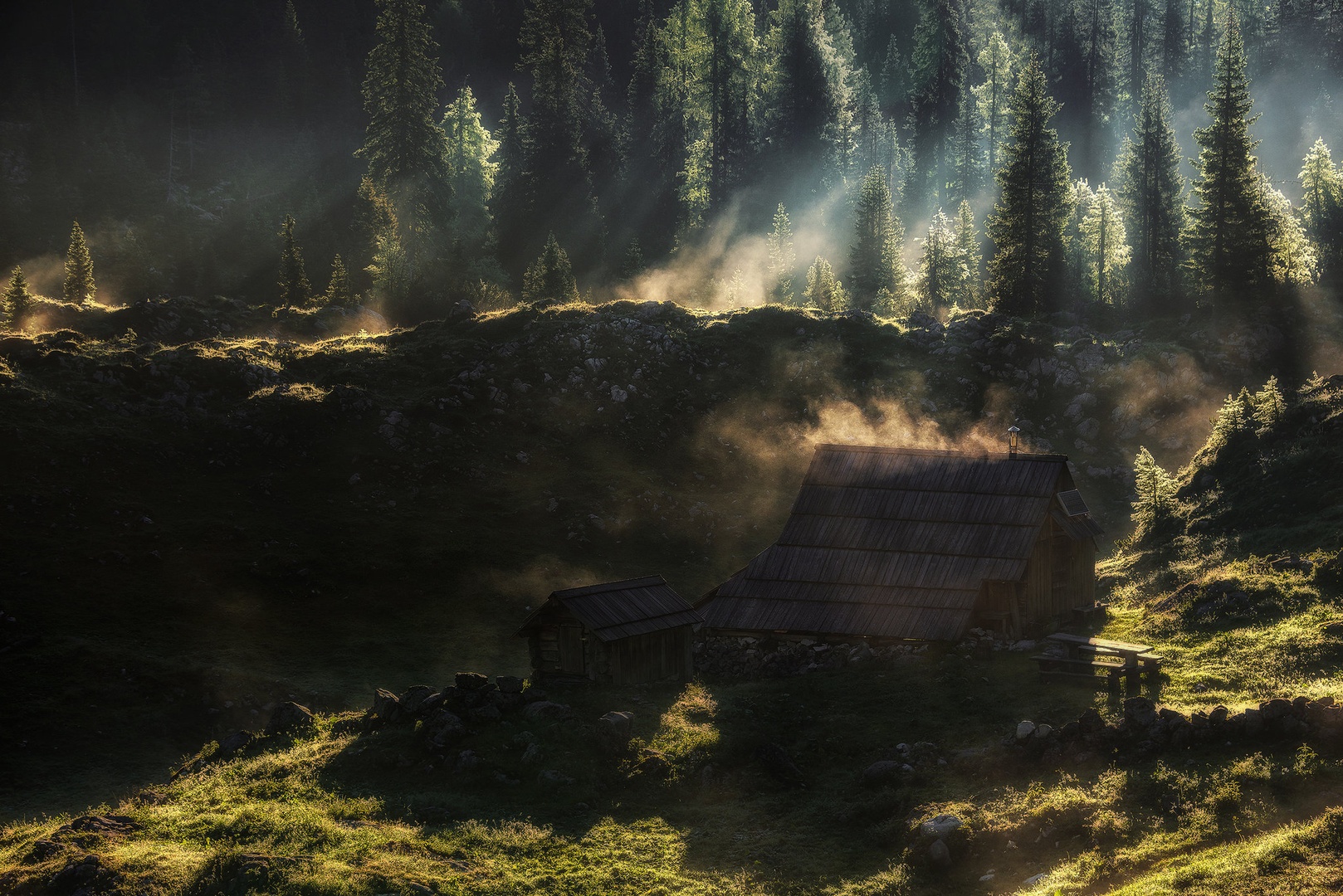 Dedno polje by A