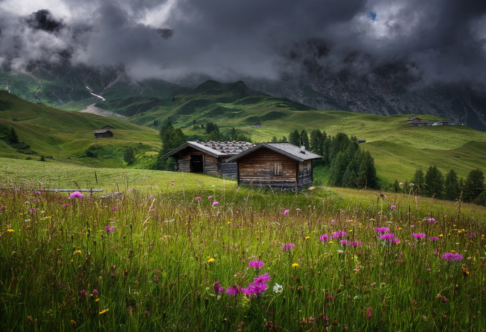 Na Dolomitskih pašnikih by A