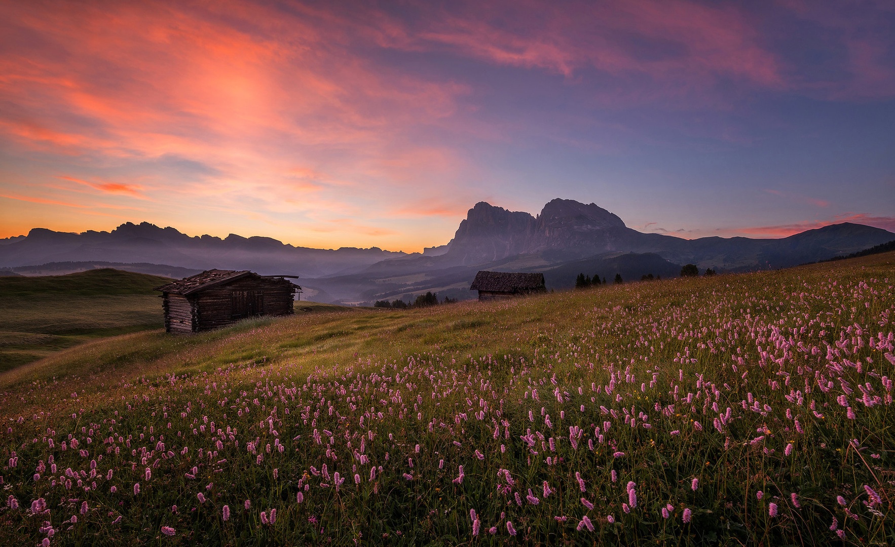 Alpe di Siusi / Seiser Alm by A