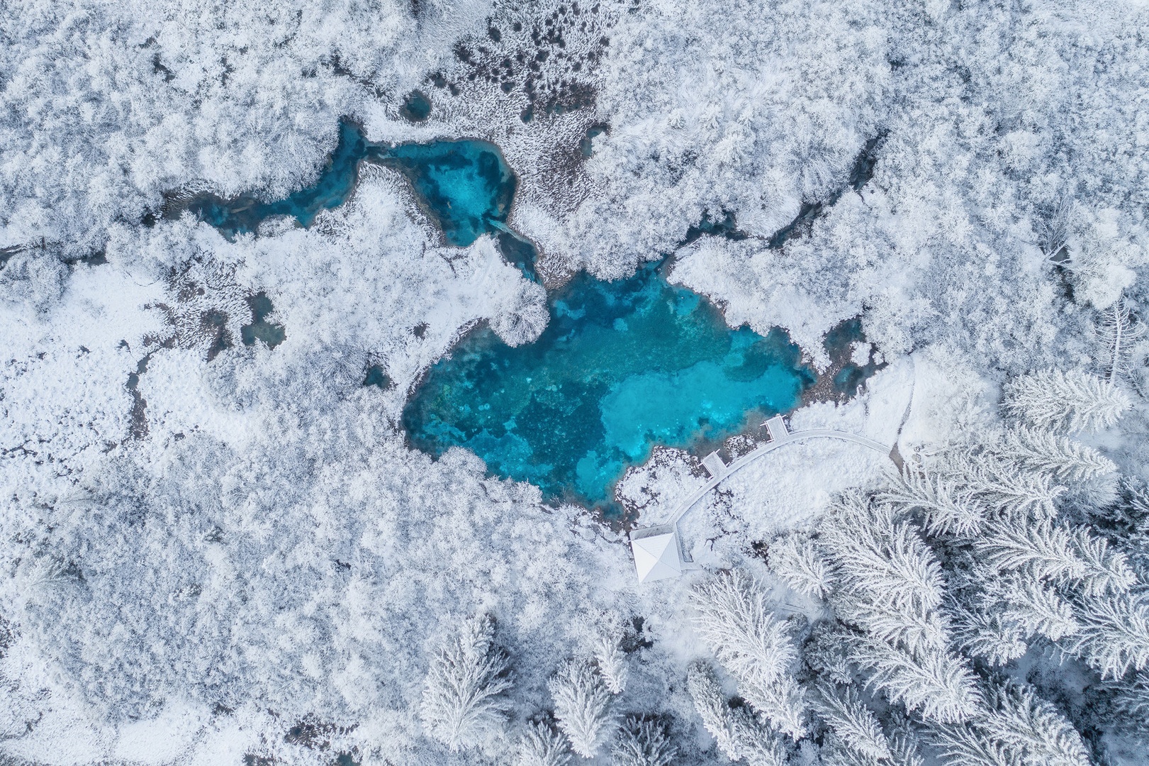 Zelenci by A